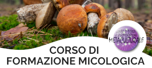 CORSO DIFORMAZIONE MICOLOGICA
